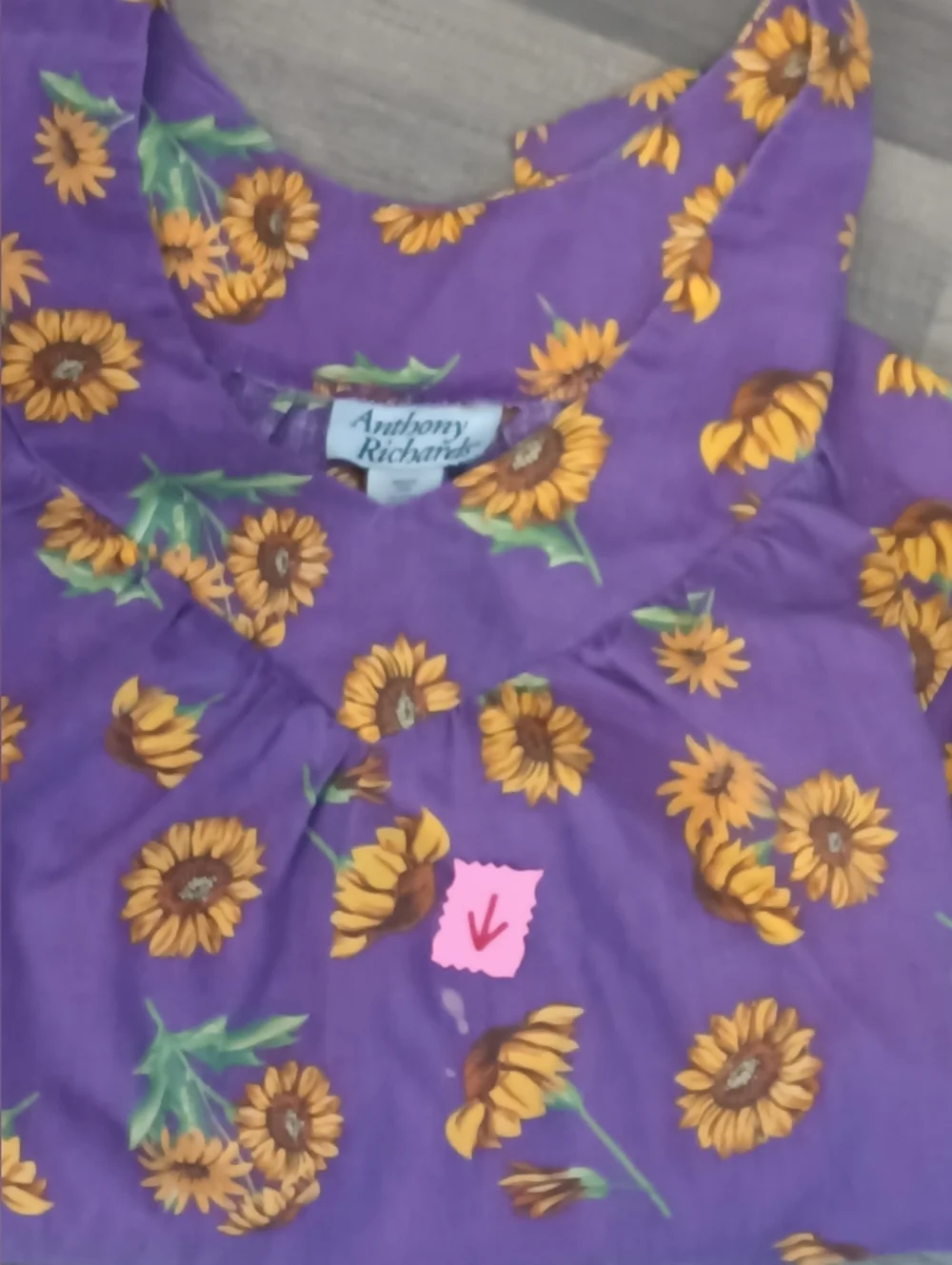 𝖠𝗇𝗍𝗁𝗈𝗇𝗒 𝖱𝗂𝖼𝗁𝖺𝗋𝖽𝗌 𝖵𝖳𝖦. 𝖲𝗎𝗇𝖿𝗅𝗈𝗐𝖾𝗋 𝖧𝗈𝗎𝗌𝖾 𝖣𝗋𝖾𝗌𝗌 - Picture 10 of 11